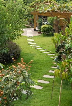 Stone Path